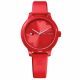 RELOJ TOMMY