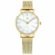 RELOJ TOMMY