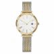 RELOJ TOMMY