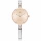 RELOJ TOMMY