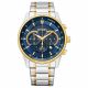 Reloj Citizen