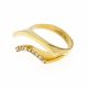 ANILLO