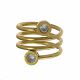 ANILLO