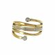 ANILLO