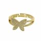 ANILLO