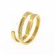 ANILLO