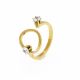 ANILLO