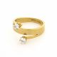 ANILLO