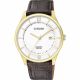 RELOJ CITIZEN
