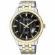 RELOJ CITIZEN