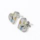 ACERO ARETES