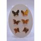 JUEGO DE ARETES  3 PCS