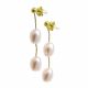 ACERO ARETES