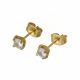 ACERO ARETES