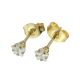 ACERO ARETES