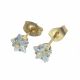 ACERO ARETES