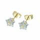 ACERO ARETES
