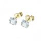 ACERO ARETES