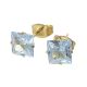 ACERO ARETES