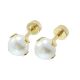 ACERO ARETES