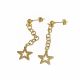 ACERO ARETES