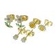 ACERO ARETES