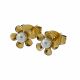 ACERO ARETES