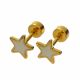 ACERO ARETES