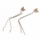 ARETES