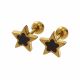 ACERO ARETES