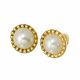 ACERO ARETES