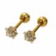 ACERO ARETES