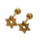 ACERO ARETES