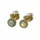 ACERO ARETES