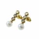 ACERO ARETES