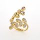 ANILLO