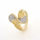 ANILLO