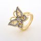 ANILLO