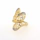 ANILLO