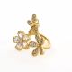 ANILLO