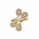 Anillo