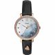 RELOJ FOSSIL