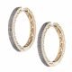 ARETES