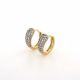ARETES