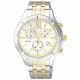 RELOJ CITIZEN