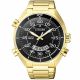 RELOJ CITIZEN