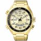 RELOJ CITIZEN
