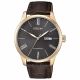 RELOJ CITIZEN