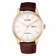 Reloj Citizen