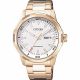 RELOJ CITIZEN